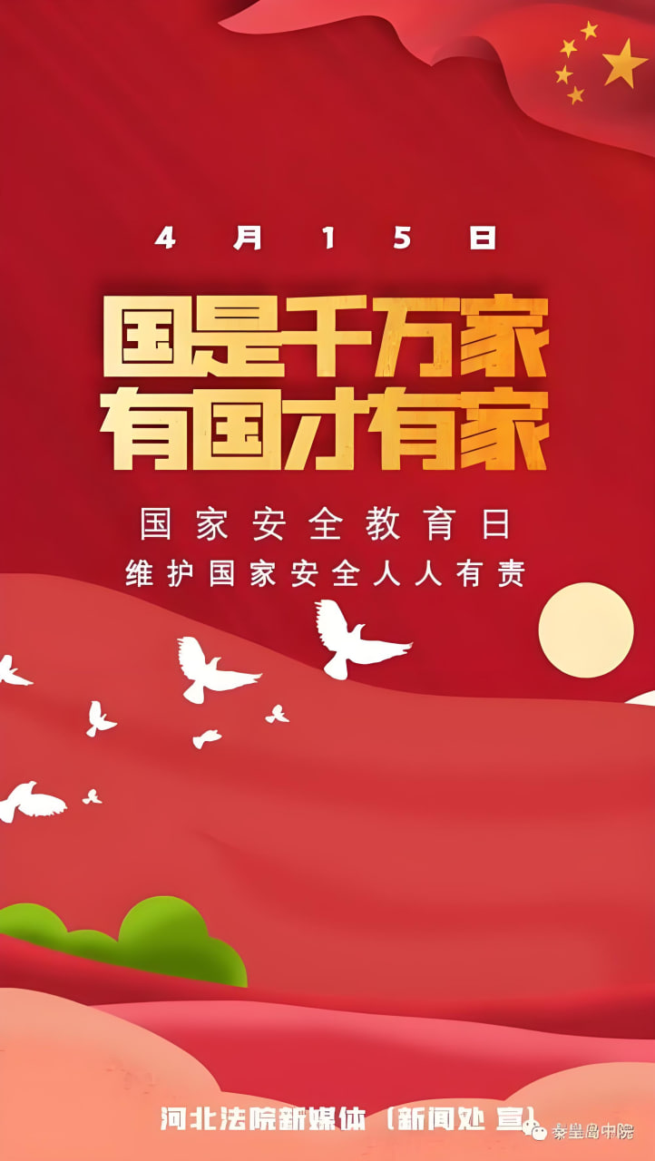 新片预告